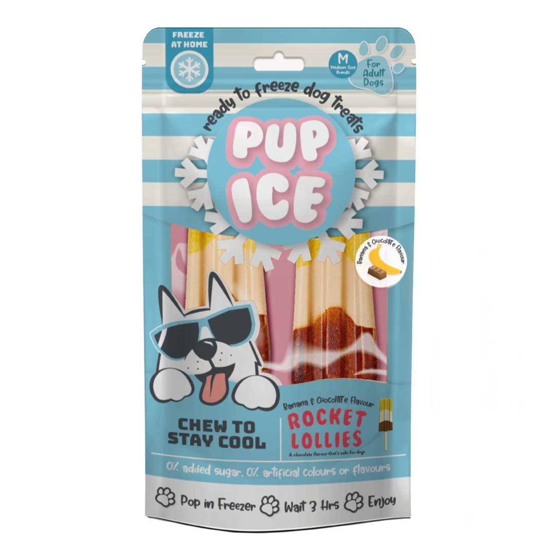 Pup Ice Chocolate & Banana Rocket Lollies - Pack (2 Lollies)