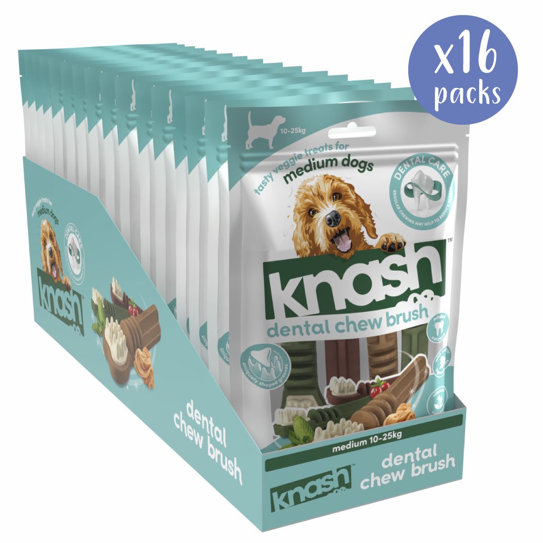 Knash Chew Brush - Medium - Box of 16 Packs