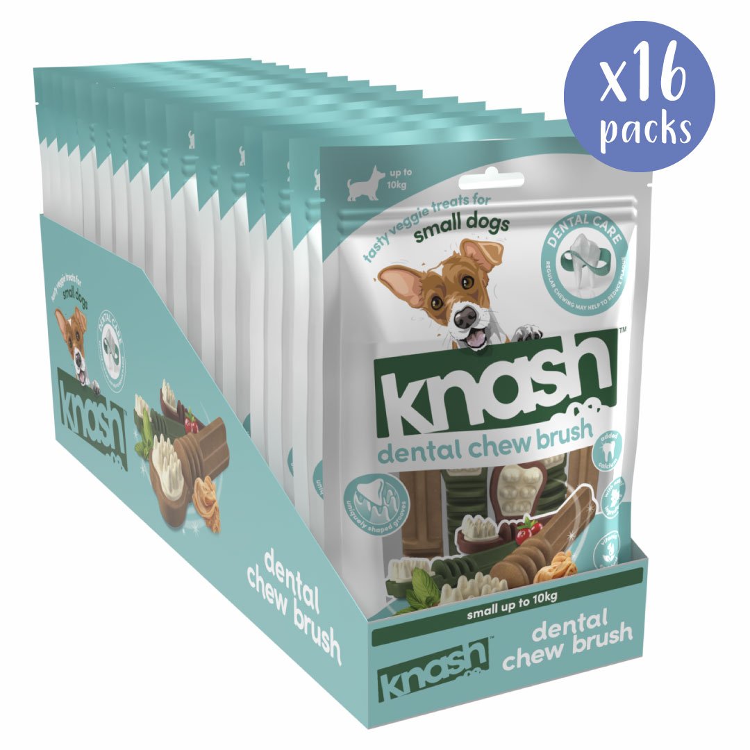 Knash Chew Brush - Small - Box of 16 Packs